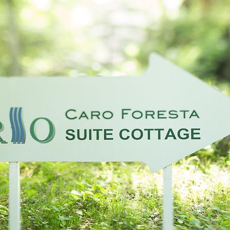 Caro Foresta Kita Karuizawa Rio Hotel Tsumagoi Exterior foto